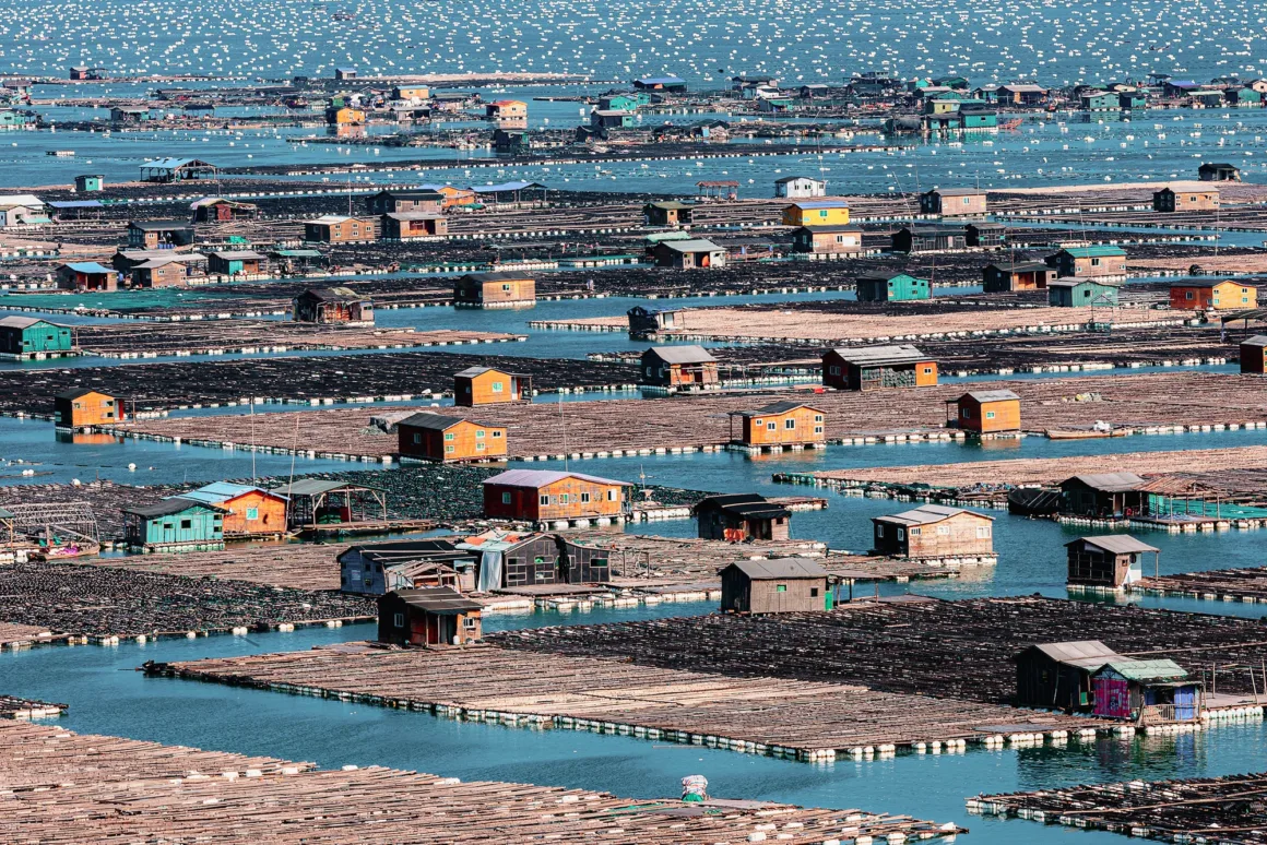 Okyanusun Görünmeyen Yüzü: Ocean Photographer of the Year 2026 Finalistleri 27 Renkli kulübelerden oluşan sıraların bulunduğu yüzer balık çiftlikleri mavi denizin üzerinde yer alıyor; arka planda çok sayıda küçük beyaz şamandıra görülüyor.