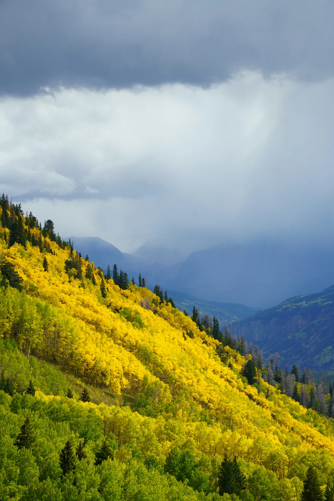 Kötü Havada Daha İyi Manzara Fotoğrafları Nasıl Çekilir? 25 Canlı sarı ve yeşil kavak ağaçlarıyla kaplı dik bir dağ yamacı, dramatik bulutlu bir gökyüzünün ve uzaktaki mavi dağ zirvelerinin altında uzanıyor.