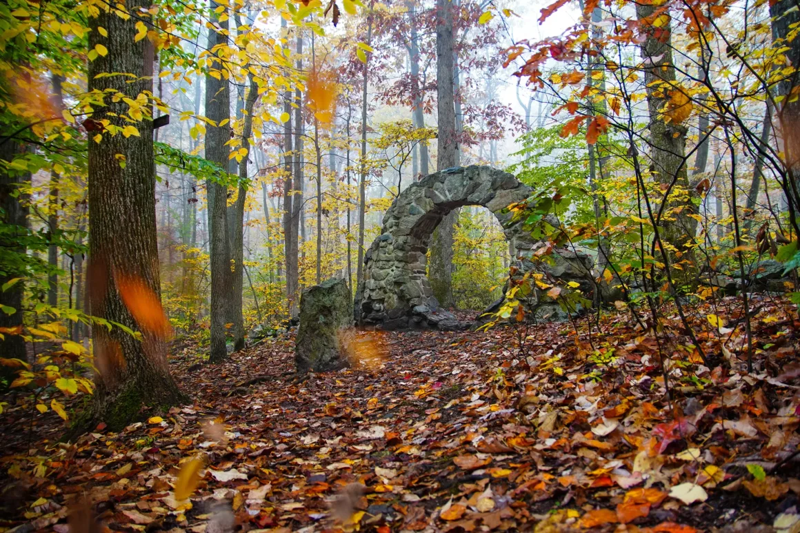 Kötü Havada Daha İyi Manzara Fotoğrafları Nasıl Çekilir? 30 Taş bir kemer, dökülmüş yapraklarla kaplı sisli bir sonbahar ormanında, sarı ve turuncu yapraklı ağaçların arasında yer alıyor.