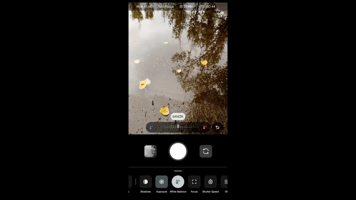 Google Pixel 11 Pro XL İncelemesi: Küçük Ama Anlamlı Bir Adım 37 Bir akıllı telefonun kamera arayüzünde, ağaçların yansıdığı bir su birikintisi üzerinde yüzen sarı sonbahar yaprakları görülüyor; manuel beyaz dengesi ayarları etkin durumda.