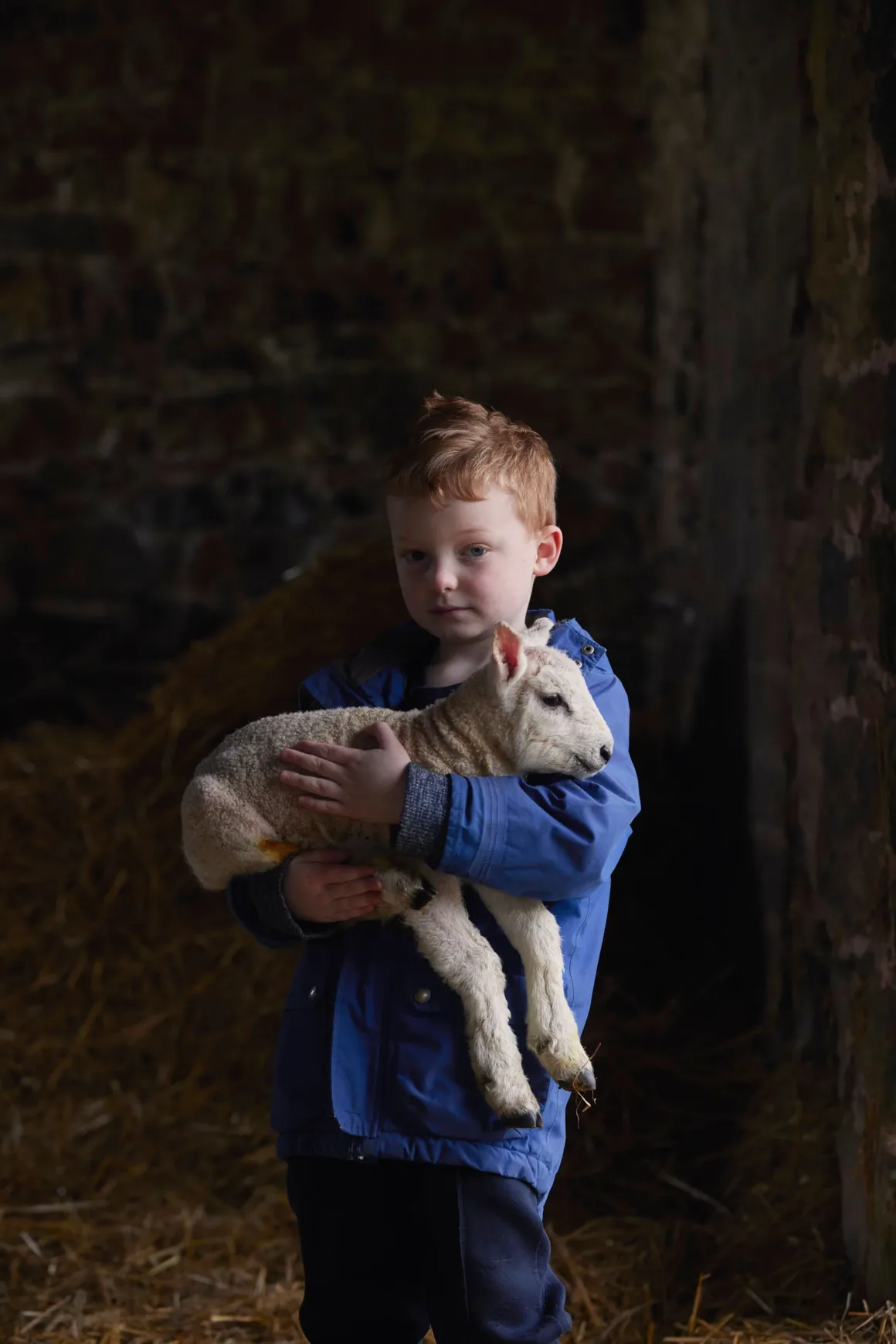 Winston Taylor Photo Portrait Prize 2026 11 A young boy with red hair wearing a blue jacket holds a small, white lamb in his arms inside a dimly lit barn with straw.
