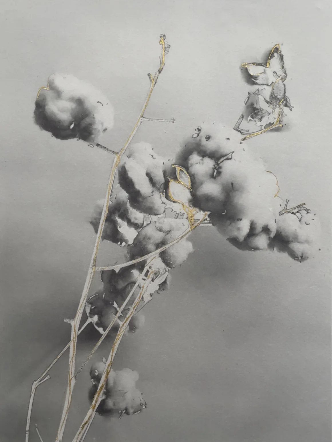 RPS Uluslararası Fotoğraf Sergisi 167. Yılında Dünyanın Dört Bir Yanından Fotoğrafçıları Buluşturuyor 12 Marcy Palmer A Cloud of Relief. From the series Seeds of Strength and Resilience Marcy Palmer. Courtesy of The Royal Photographic Society