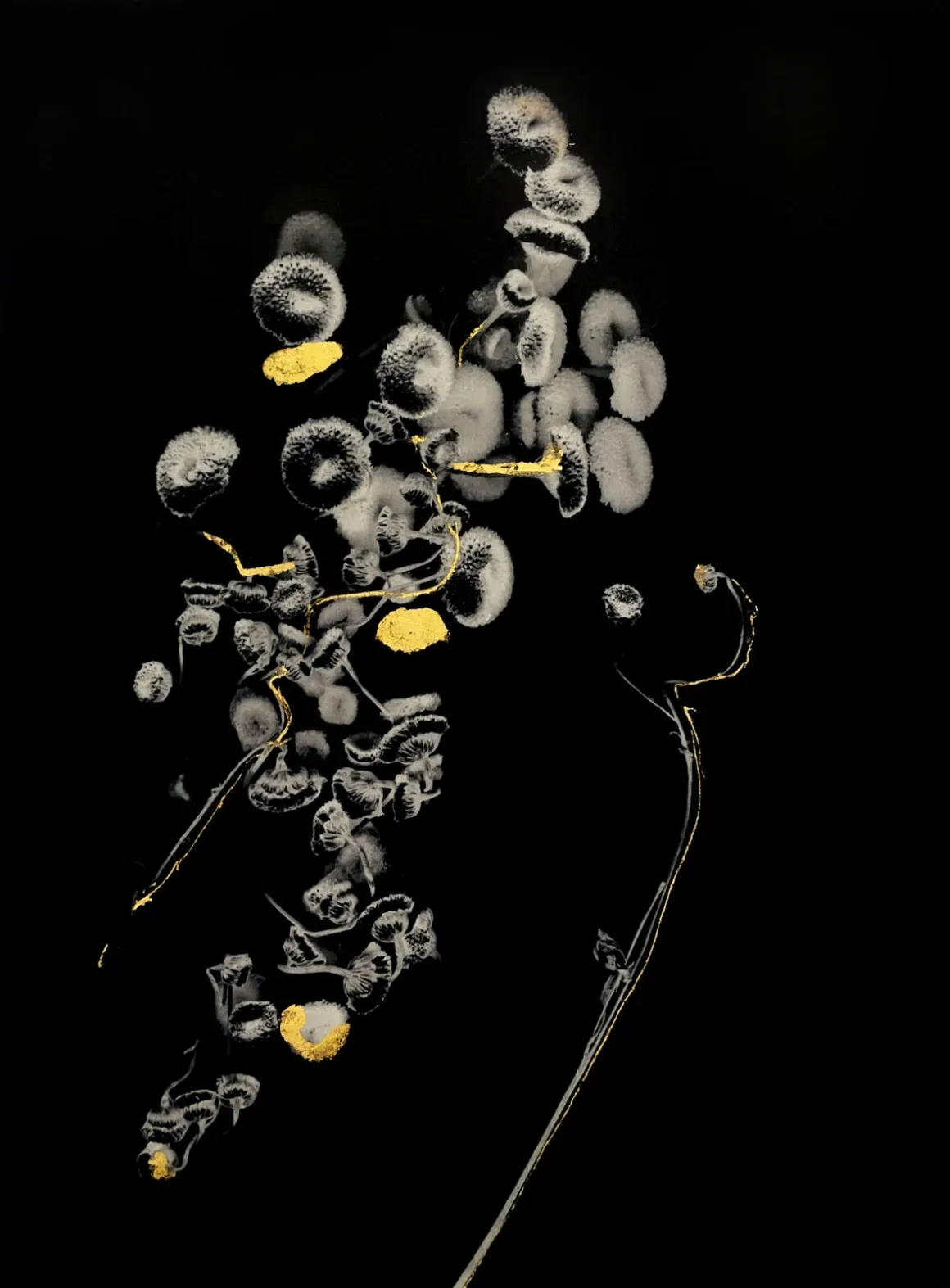 RPS Uluslararası Fotoğraf Sergisi 167. Yılında Dünyanın Dört Bir Yanından Fotoğrafçıları Buluşturuyor 13 Marcy Palmer Of Athanasia. From the series Seeds of Strength and Resilience Marcy Palmer. Courtesy of The Royal Photographic Society