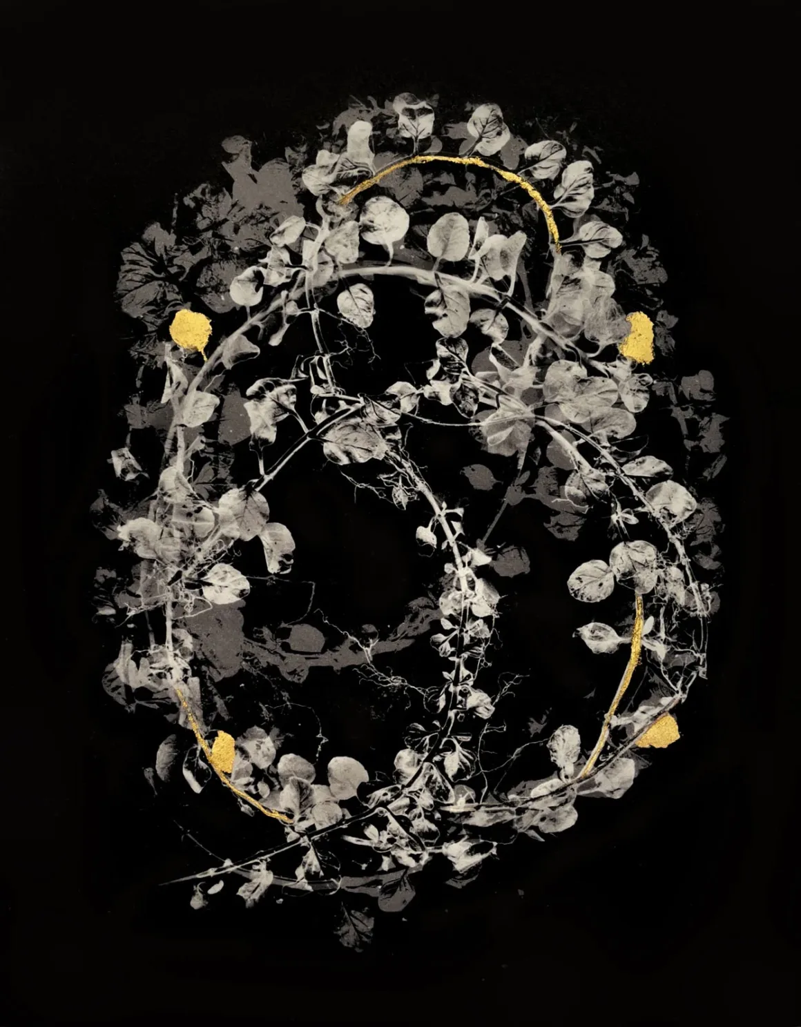RPS Uluslararası Fotoğraf Sergisi 167. Yılında Dünyanın Dört Bir Yanından Fotoğrafçıları Buluşturuyor 15 Marcy Palmer Pennyroyal. From the series Seeds of Strength and Resilience Marcy Palmer. Courtesy of The Royal Photographic Society