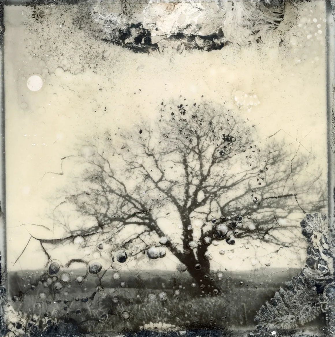 RPS Uluslararası Fotoğraf Sergisi 167. Yılında Dünyanın Dört Bir Yanından Fotoğrafçıları Buluşturuyor 9 Sian Cann The Retinopathy Forest I Sian Cann. Courtesy of The Royal Photographic Society