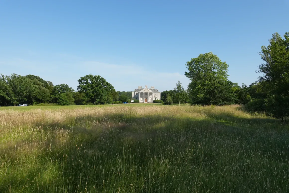 Sony RX10 V İncelemesi – Köprü Fotoğraf Makinelerinin Kralı Geri Döndü 49 Sony RX10 V Beckenham Place 24mm comparison image.