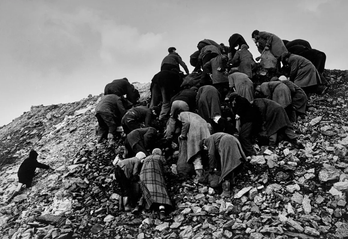 Paltolar giymiş bir grup insan, bulutlu bir gökyüzünün altında taşlık bir yamaca tırmanıyor ve kayaların arasında bir şeyler arıyor.