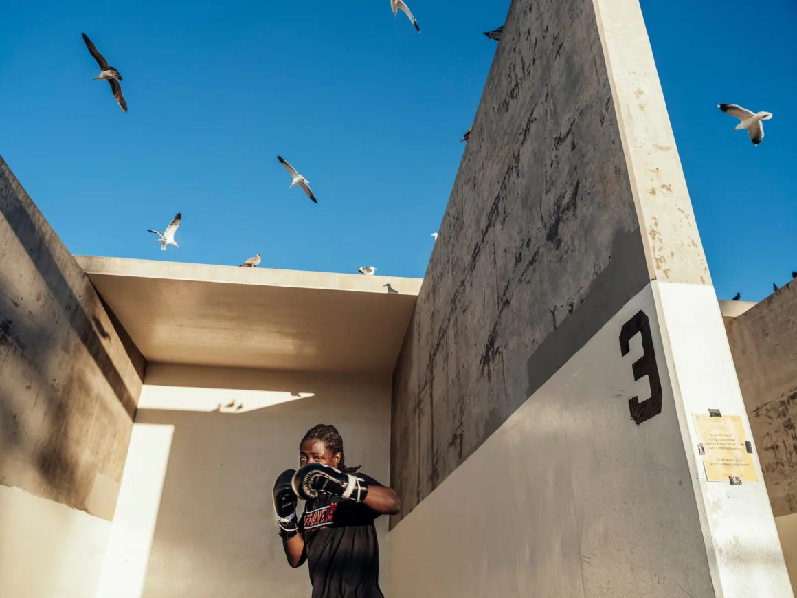 Winston Taylor Photo Portrait Prize 2026 17 A person wearing boxing gloves stands in a concrete handball court while several seagulls fly overhead against a clear blue sky.