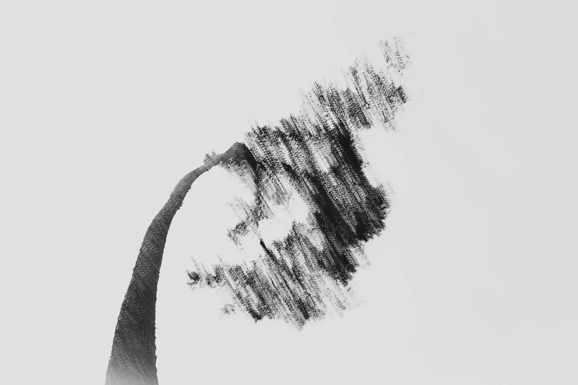 Minimalist Fotoğraf Ödülleri 2026: Kazananlar Sadeliğin Gücünü Gösteriyor 25 A black and white, long-exposure photograph of a single tree leaning sharply to the right, with its foliage blurred by motion.