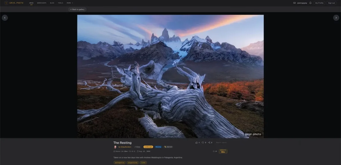 Fotoğrafçılar İçin Yeni Bir Instagram Alternatifi: grid.photo 17 Gün batımı göğünün altında yükselen engebeli ve karla kaplı dağların önünde, yıpranmış, gümüş grisi büyük bir ağaç gövdesi uzanıyor.