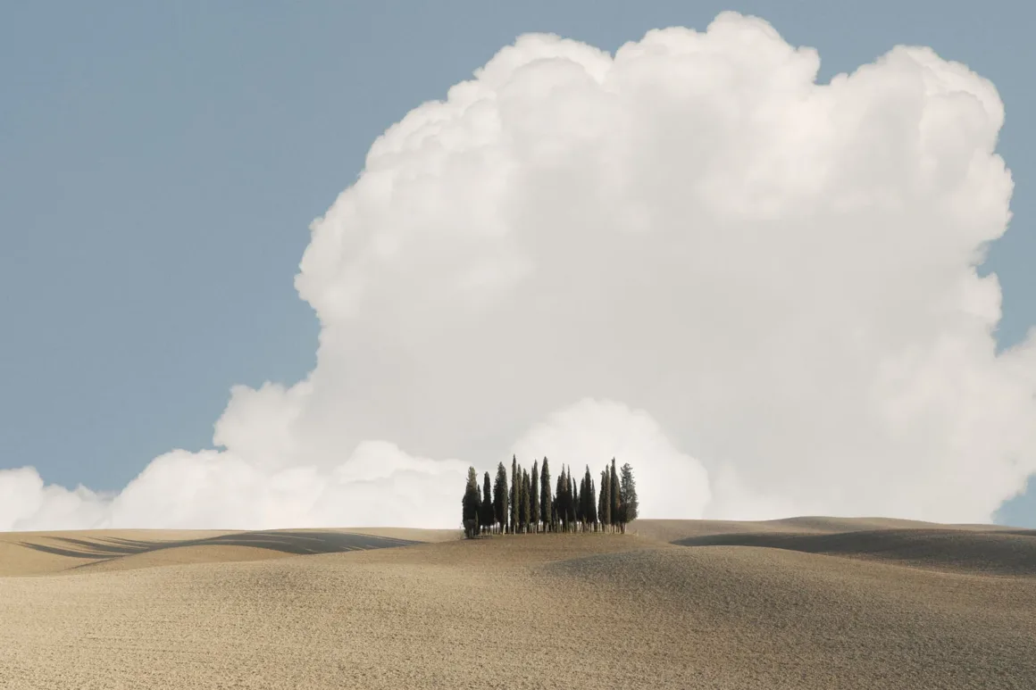 Minimalist Fotoğraf Ödülleri 2026: Kazananlar Sadeliğin Gücünü Gösteriyor 37 A small cluster of tall, thin cypress trees stands atop a rolling, barren landscape beneath a massive, billowing white cloud.