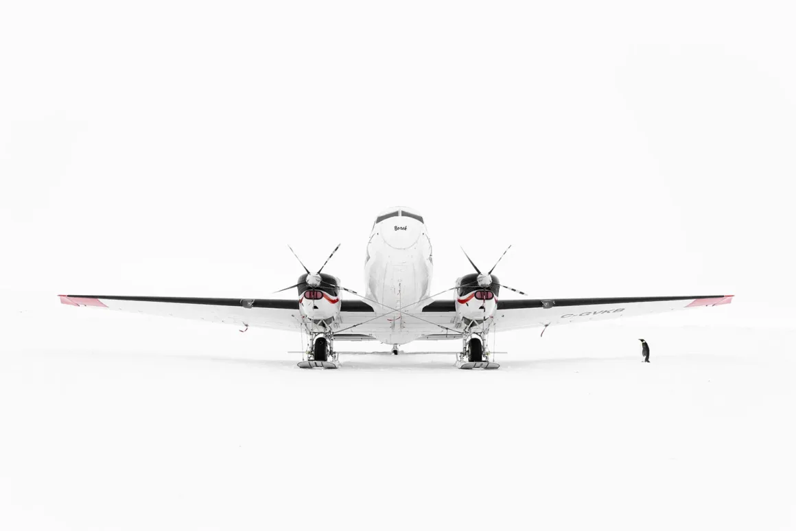 Minimalist Fotoğraf Ödülleri 2026: Kazananlar Sadeliğin Gücünü Gösteriyor 47 A white twin-engine propeller plane with skis for landing gear sits on a vast, flat expanse of snow, with a single penguin standing near its right wing.