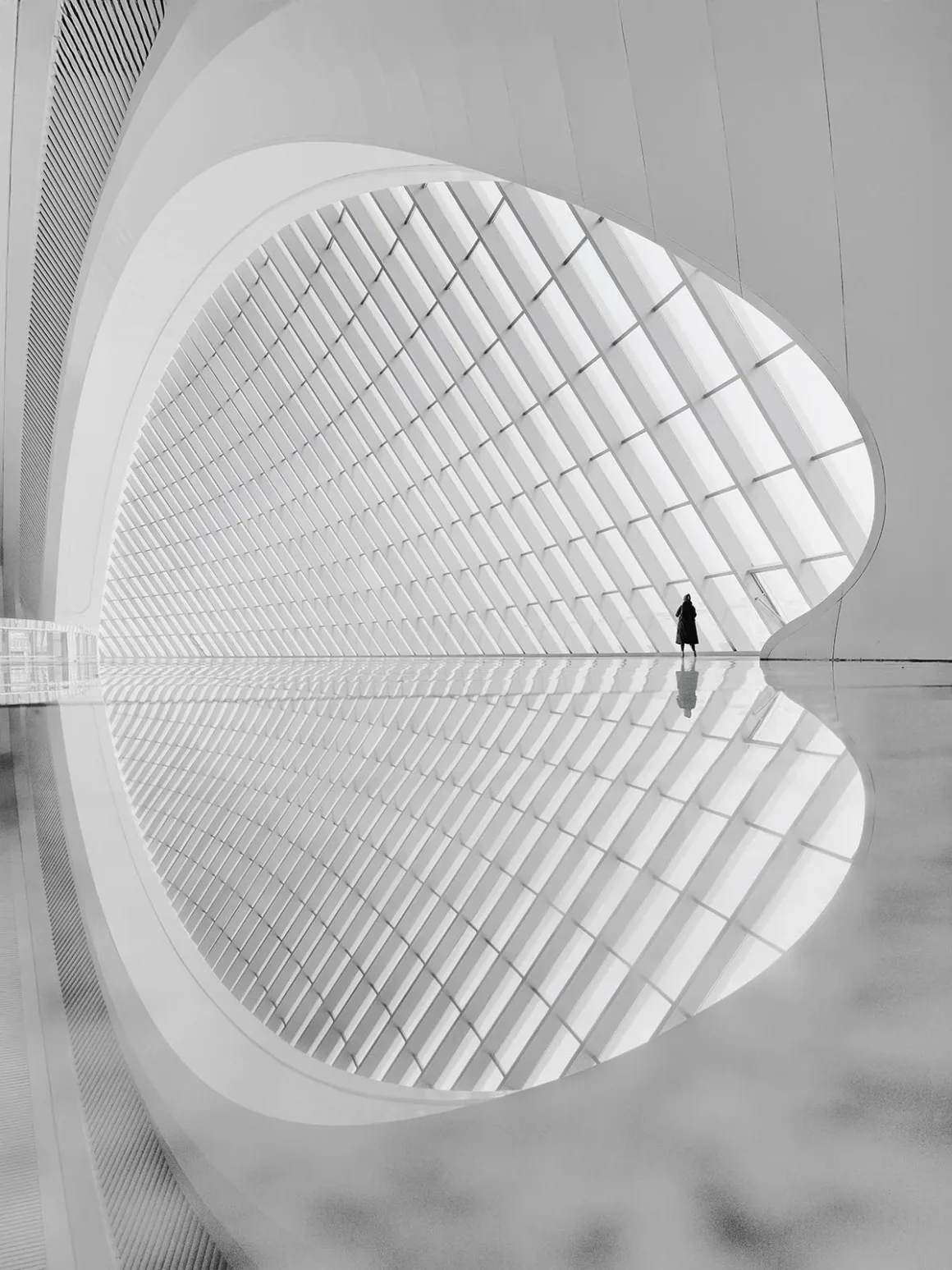 Minimalist Fotoğraf Ödülleri 2026: Kazananlar Sadeliğin Gücünü Gösteriyor 56 A lone person stands in a vast, minimalist white hall with a large, curved glass wall reflecting onto a polished floor.
