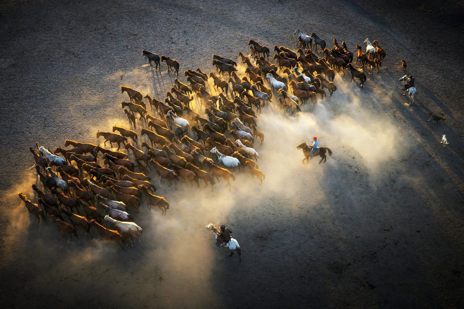 Sony World Photography Awards 2027’ye Katılmanız İçin 15 İlham Verici Fotoğraf 19 An aerial view shows two riders on horseback herding a large group of horses across a dusty, sunlit field.