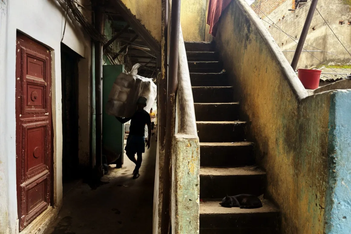 Leica Lux 2.0’a Steve McCurry İmzalı Yeni Görünüm Geldi 25 A person carries a large, plastic-wrapped bundle on their shoulder through a narrow alleyway next to a concrete staircase where a black cat is sleeping.