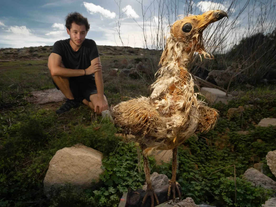 Bird Photographer of the Year 2026’dan Ödüllü Kuş Fotoğrafları 39 Bir adam, çimenlik bir yamaçta, tüyleri yıpranmış ve dokusu bozulmuş büyük, kuş biçimli bir nesnenin yanında çömeliyor.
