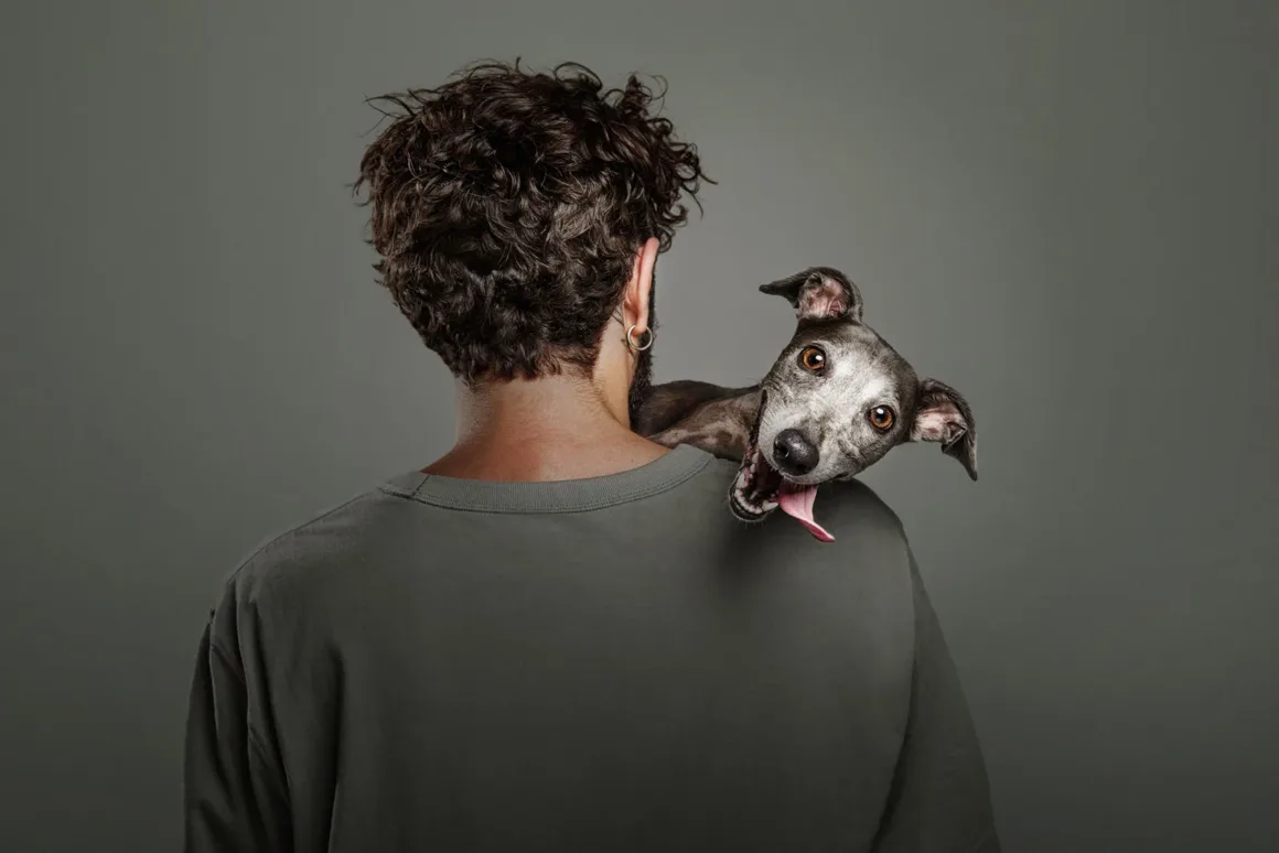 Dog Photography Awards 2026’nın Kazananları Açıklandı 30 Arkadan görülen kıvırcık saçlı bir kişinin omzuna başını yaslayan, dili dışarıda gri köpek.
