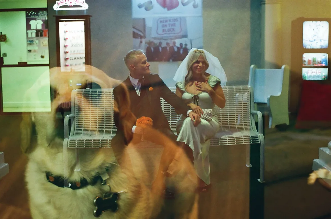 Düğün Fotoğrafları Yanlışlıkla Kedi ve Köpek Kareleriyle Çift Pozlandı 19 Beyaz metal bir bankta oturan gelin ve damadın önünde hayaletimsi bir köpek yansıması.