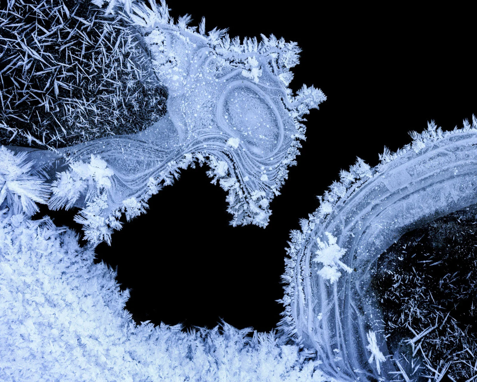 Natural Landscape Photography Awards 2026’nın Kazananları Açıklandı 21 Intricate ice crystals and frozen patterns form delicate, white, branch-like structures against a deep black background.