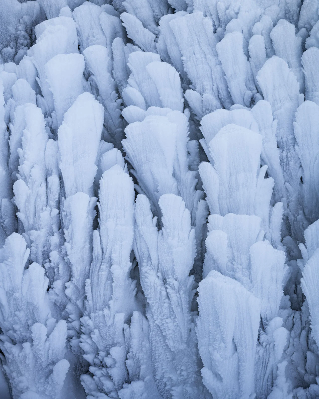 Natural Landscape Photography Awards 2026’nın Kazananları Açıklandı 35 A close-up view of vertical, fan-shaped ice formations with textured, crystalline surfaces in shades of white and pale blue.