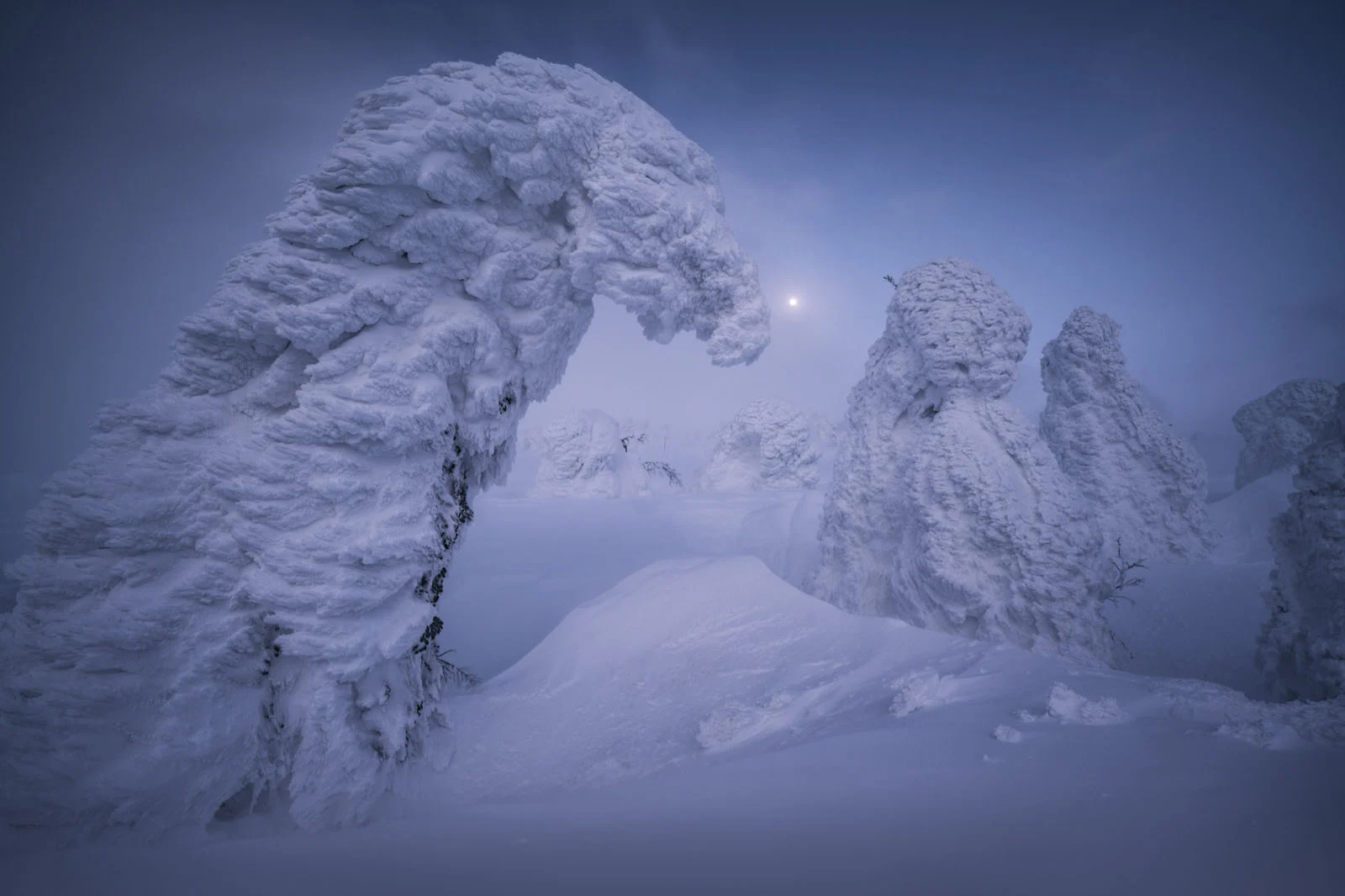 Natural Landscape Photography Awards 2026’nın Kazananları Açıklandı 36 Snow-covered trees, known as snow monsters, stand in a vast, frozen landscape under a pale sun in a blue, overcast sky.