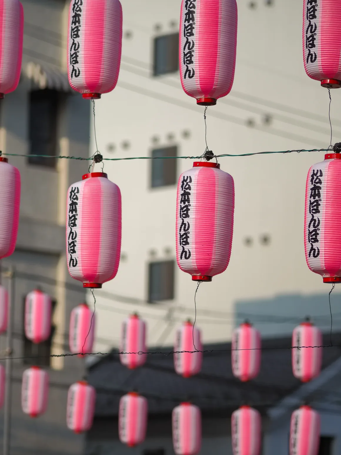 OM System PEN İncelemesi: Tanıdık Ama Son Derece Şık 41 Rows of pink and white paper lanterns with Japanese text hang from wires against a blurred building background.