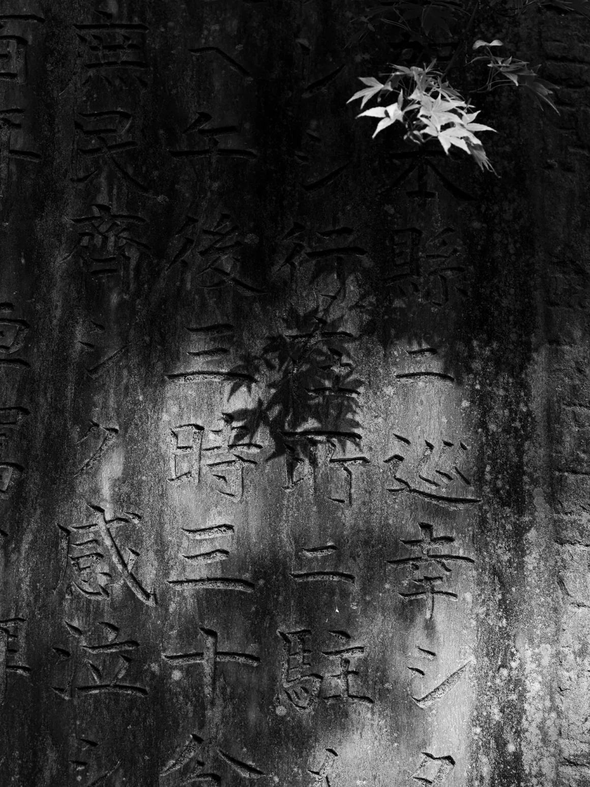 OM System PEN İncelemesi: Tanıdık Ama Son Derece Şık 48 A close-up, black-and-white view of a weathered stone monument engraved with Japanese characters, partially shaded by overhanging maple leaves.
