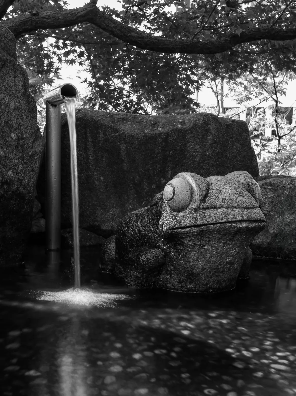 OM System PEN İncelemesi: Tanıdık Ama Son Derece Şık 37 A stone frog statue sits in a shallow pond next to a metal pipe pouring a steady stream of water.