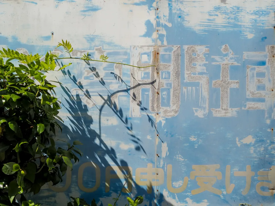 OM System PEN İncelemesi: Tanıdık Ama Son Derece Şık 39 A leafy green plant grows against a weathered blue metal wall featuring faded white Japanese text.