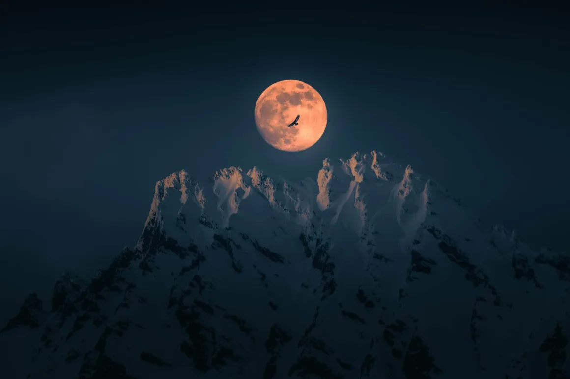 Bird Photographer of the Year 2026’dan Ödüllü Kuş Fotoğrafları 29 Bir kaya kartalı, karla kaplı dağ zirvelerinin üzerinde yükselen büyük ve turuncu dolunayın önünden uçuyor.