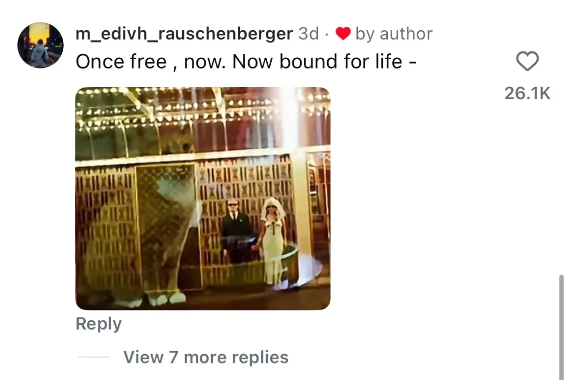 Düğün Fotoğrafları Yanlışlıkla Kedi ve Köpek Kareleriyle Çift Pozlandı 29 A social media comment by m_edivh_rauschenberger reads "Once free , now. Now bound for life -" above a blurry image of a man in a suit and a woman in a white dress standing behind a gold-patterned gate.