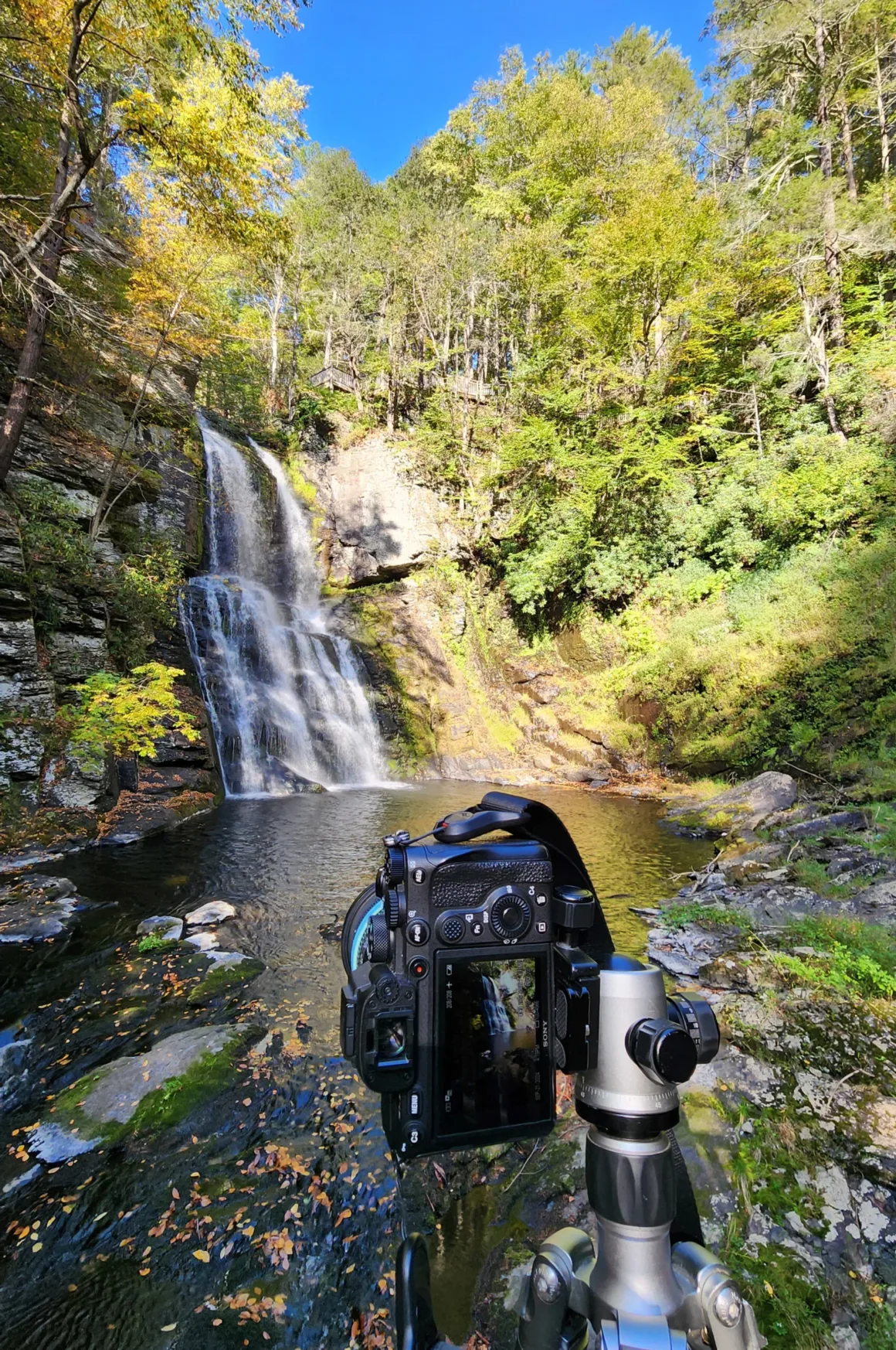 Şelale Fotoğrafçılığı: Yeni Başlayanlar İçin Kapsamlı Rehber 30 Kayalık ve ormanlık arazideki havuza dökülen şelaleye yöneltilmiş tripod üzerindeki fotoğraf makinesi.