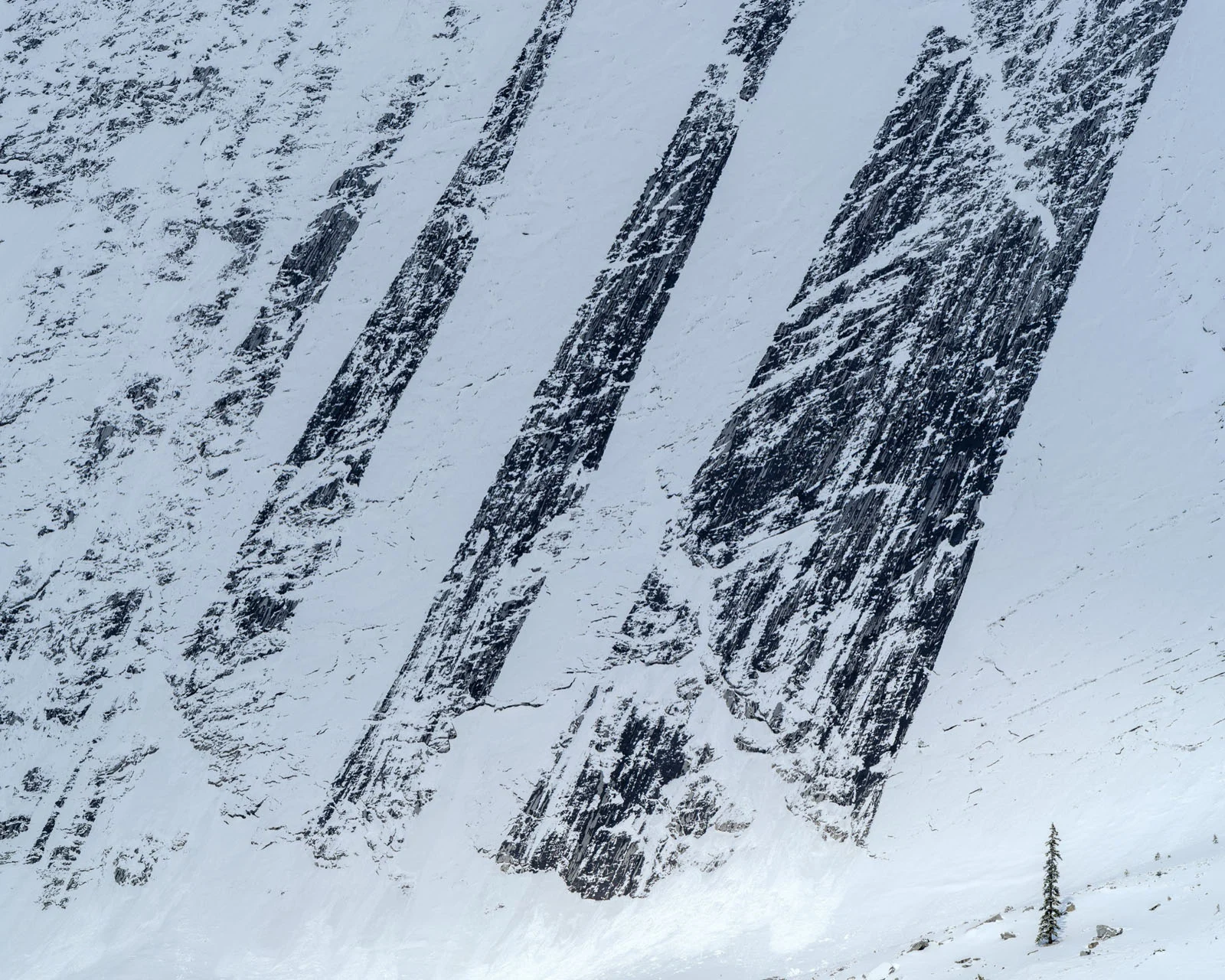 Natural Landscape Photography Awards 2026’nın Kazananları Açıklandı 77 A steep, snow-covered mountain slope features three prominent, diagonal bands of exposed dark rock, with a single small evergreen tree in the lower right foreground.