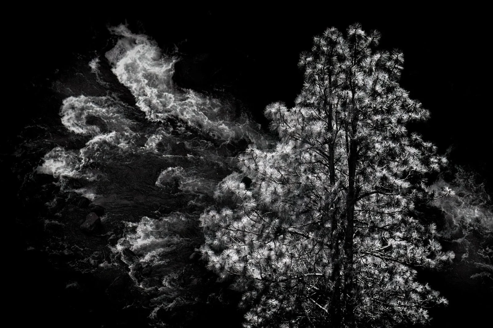 Natural Landscape Photography Awards 2026’nın Kazananları Açıklandı 80 A high-contrast, black-and-white image shows a pine tree standing beside a turbulent, rushing river.