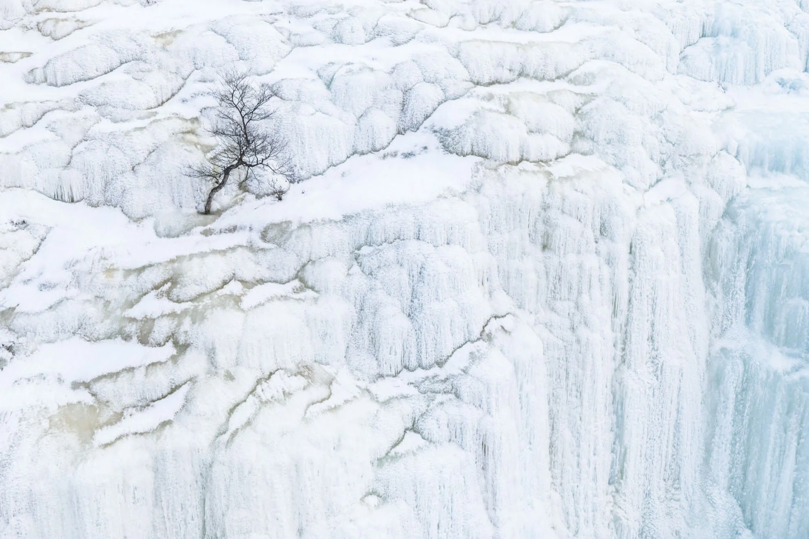 Natural Landscape Photography Awards 2026’nın Kazananları Açıklandı 105 A lone, bare tree stands on a steep, snow-covered, and icy rock face with vertical frozen water formations.