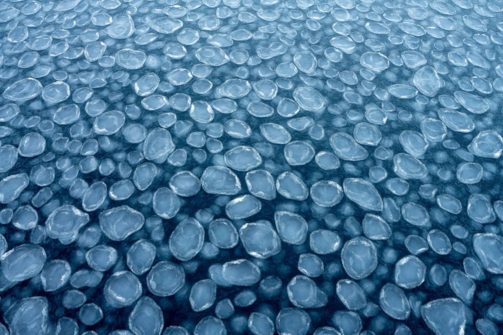 Natural Landscape Photography Awards 2026’nın Kazananları Açıklandı 103 An aerial view of pancake ice floating on dark, deep blue water.