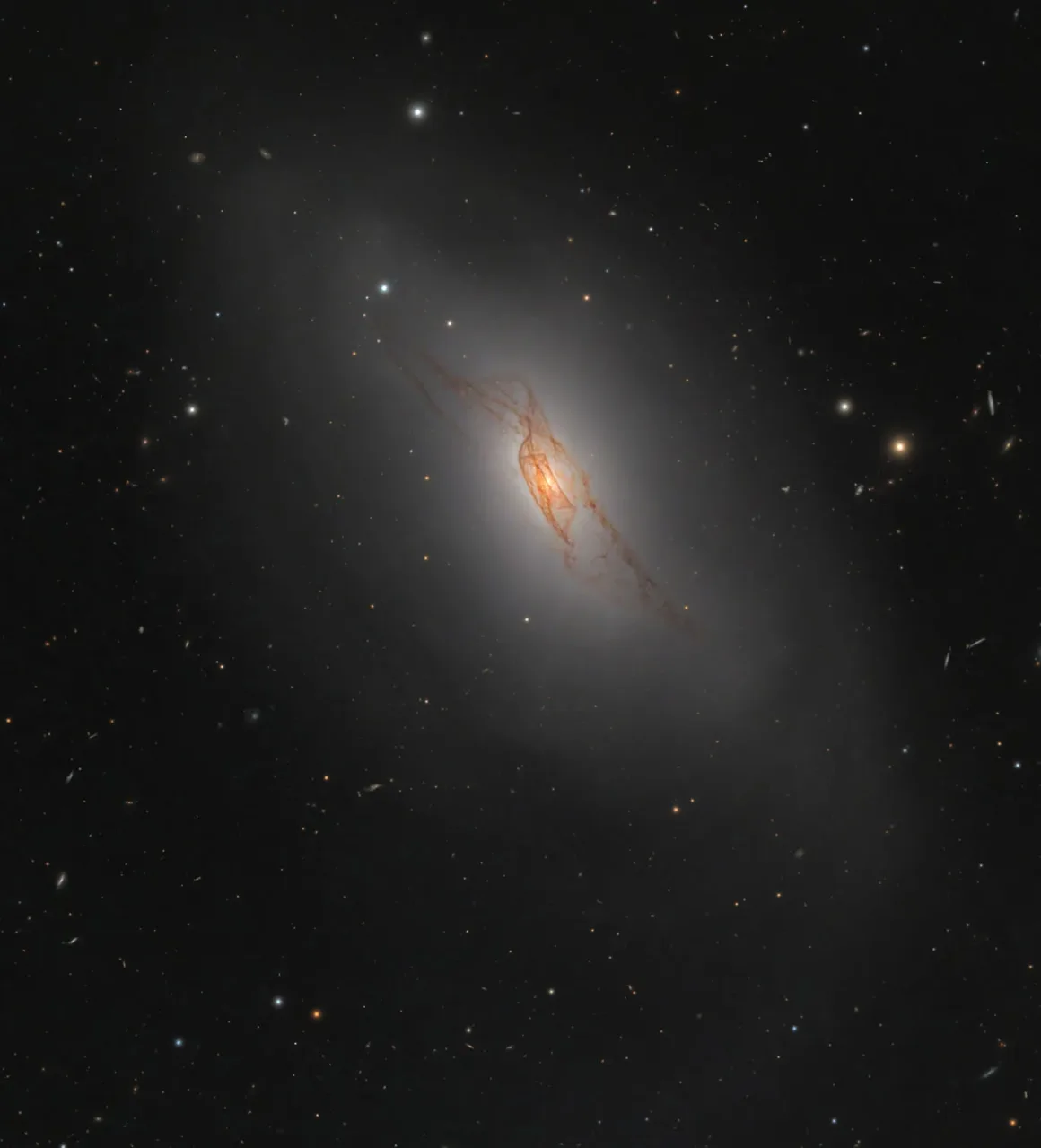Astronomy Photographer of the Year 2026: Bu Dünyadan Olmayan 31 Kazanan 42 A glowing, orange, web-like structure of dust and gas sits at the center of a diffuse, elliptical galaxy against a dark sky.
