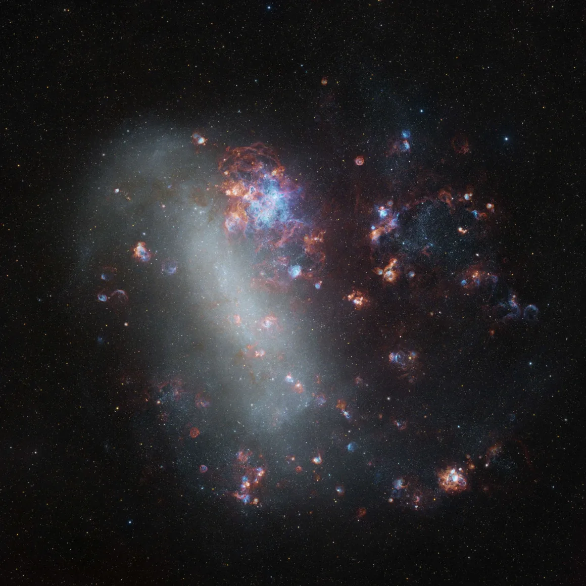 Astronomy Photographer of the Year 2026: Bu Dünyadan Olmayan 31 Kazanan 44 A large, irregular galaxy filled with glowing blue star clusters and reddish nebulae against a dark, star-speckled background.