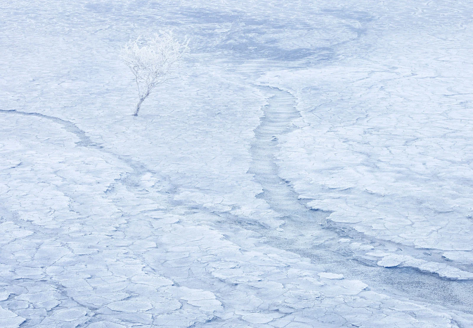 Natural Landscape Photography Awards 2026’nın Kazananları Açıklandı 74 A lone, frost-covered tree stands in a vast, pale, cracked landscape with winding, dry water channels.