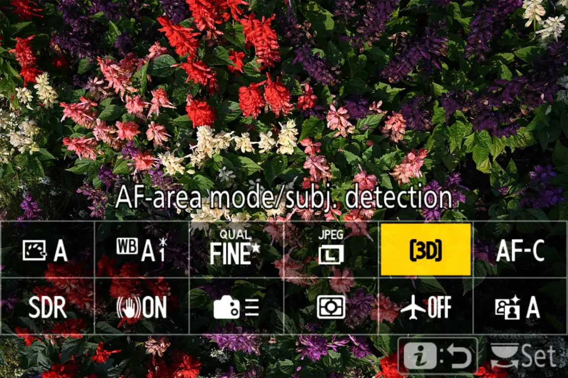 Nikon Z5IIC İncelemesi: Küçük Gövdeden Çok Daha Fazlası 46 Nikon 'i' menüsünde 3D Takip seçeneğinin etkin olduğunu gösteren ekran görüntüsü.