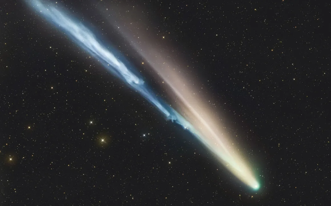Astronomy Photographer of the Year 2026: Bu Dünyadan Olmayan 31 Kazanan 38 A comet with a bright, glowing nucleus and two distinct tails—one blue and gaseous, the other yellowish and dusty—stretches across a dark, star-filled sky.
