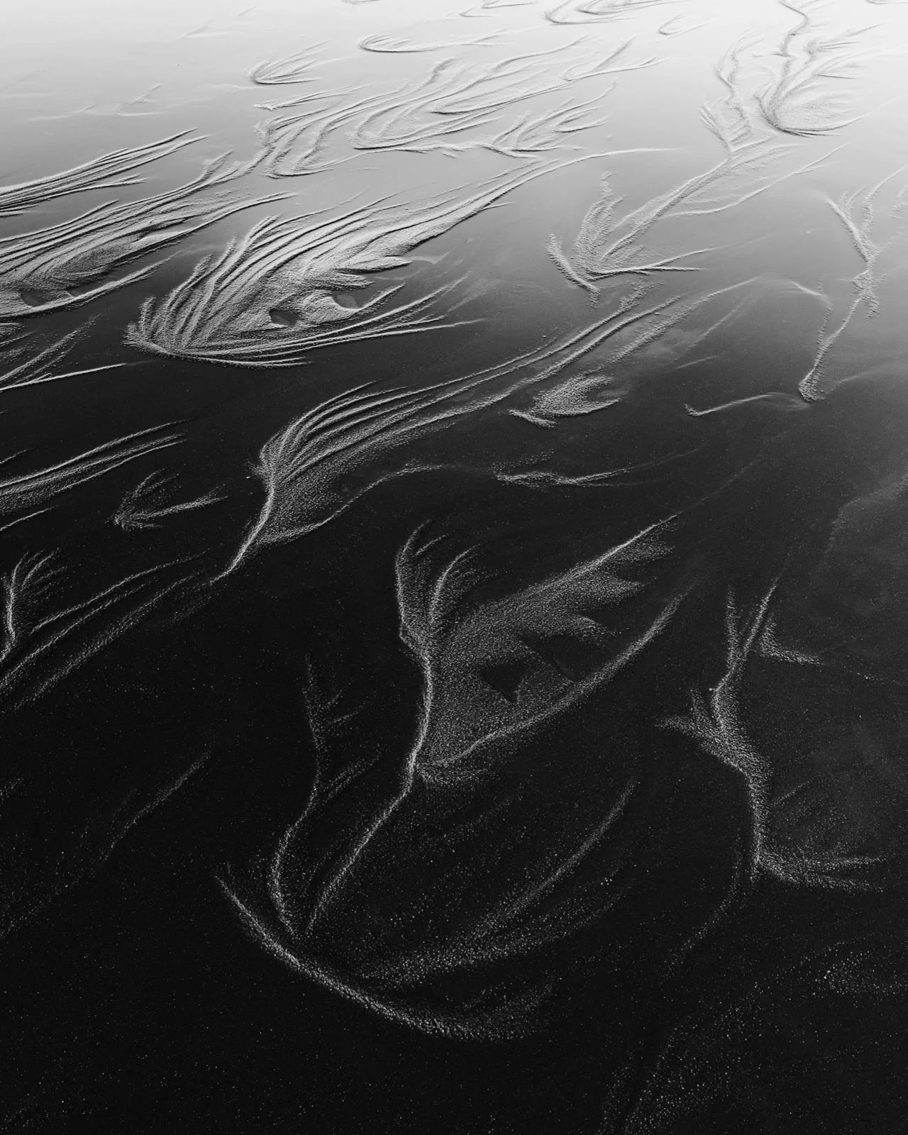 Natural Landscape Photography Awards 2026’nın Kazananları Açıklandı 83 Intricate, feather-like patterns formed by water receding over dark, wet sand.