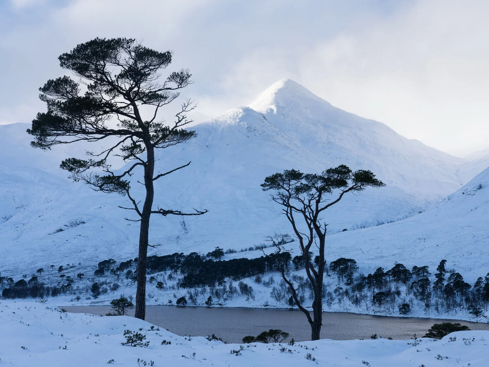 Natural Landscape Photography Awards 2026’nın Kazananları Açıklandı 61 Two tall, sparse pine trees stand in the foreground of a snow-covered landscape with a mountain and a dark lake behind them.