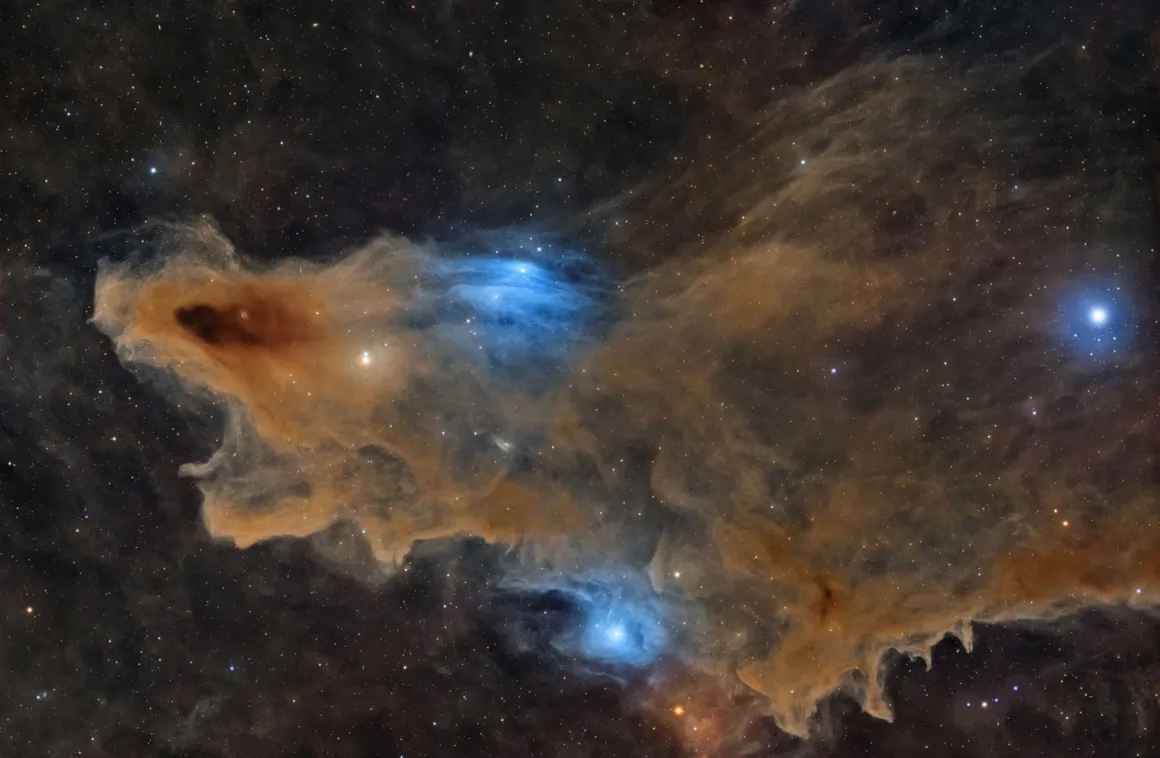 Astronomy Photographer of the Year 2026: Bu Dünyadan Olmayan 31 Kazanan 19 Altın-kahverengi toz bulutları ve iki mavi yansıma bulutsusu yıldızlarla dolu karanlık gökyüzünde uzanıyor.