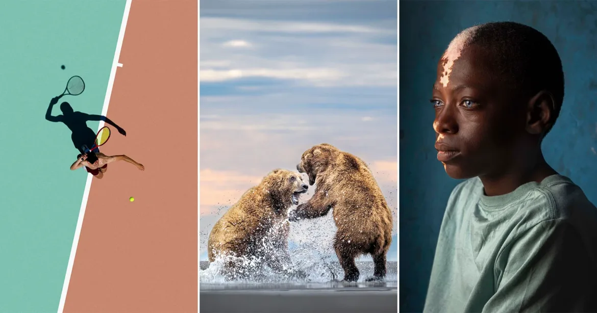 A triptych showing a tennis player from above, two grizzly bears splashing in water, and a portrait of a young boy.