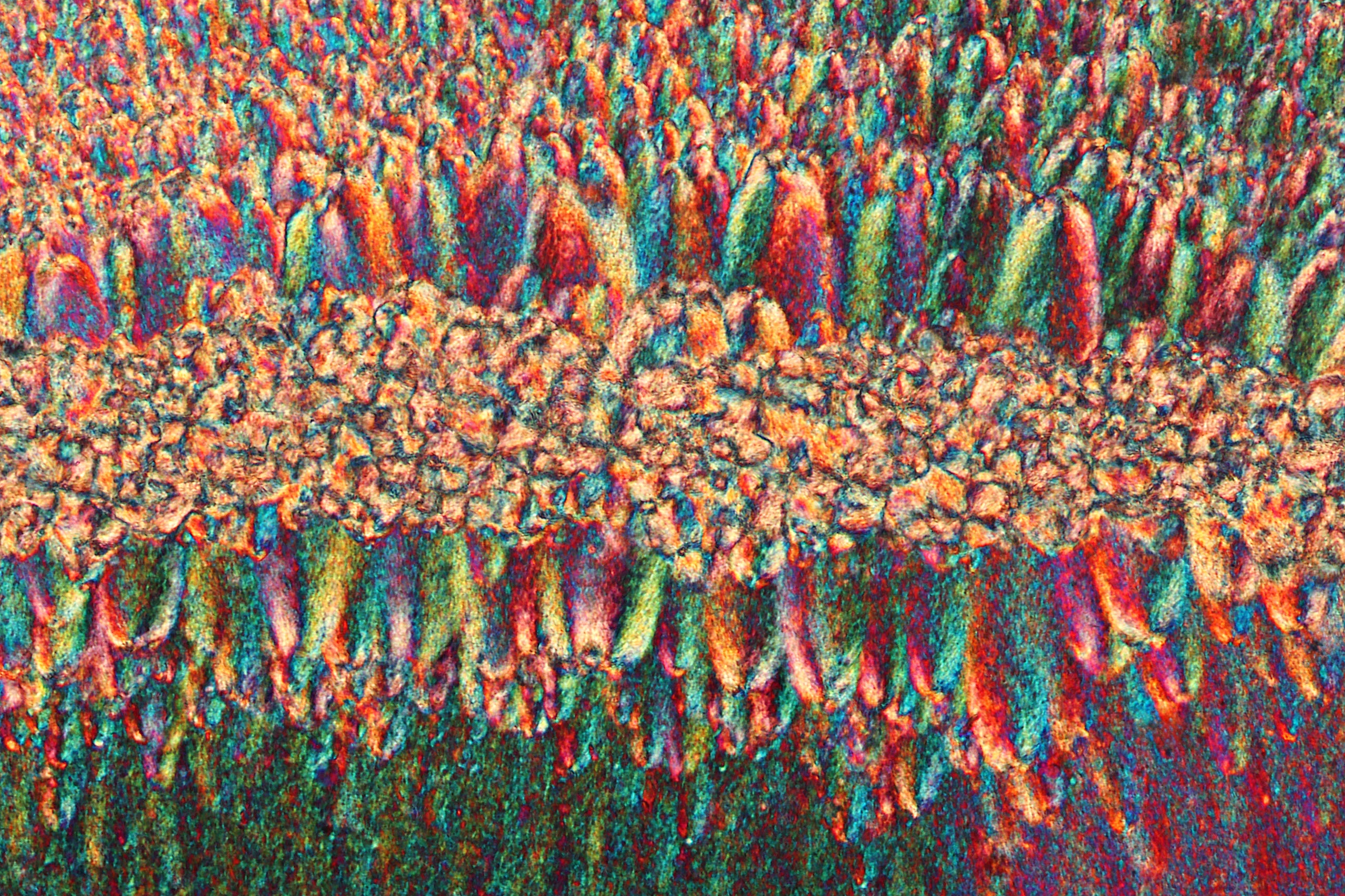 Nikon Small World 2026 Kazananları Açıklandı: Mikroskobik Dünyadan Büyüleyici Görüntüler 31 A microscopic view of a crystalline structure featuring a horizontal band of granular textures flanked by vertical, colorful, finger-like formations.
