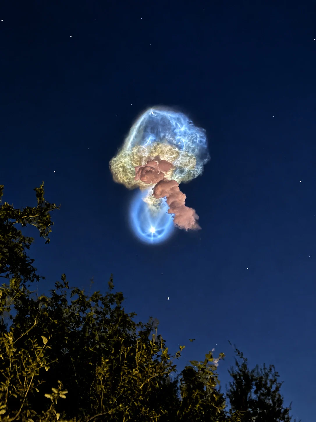 NASA’nın “Uzay Denizanası” Fotoğrafları Gökyüzünü Aydınlattı 18 Bir roket fırlatmasından çıkan parlak mavi ve pembe egzoz bulutu, silüet halindeki ağaçların üzerinde karanlık gece gökyüzüne yükseliyor.