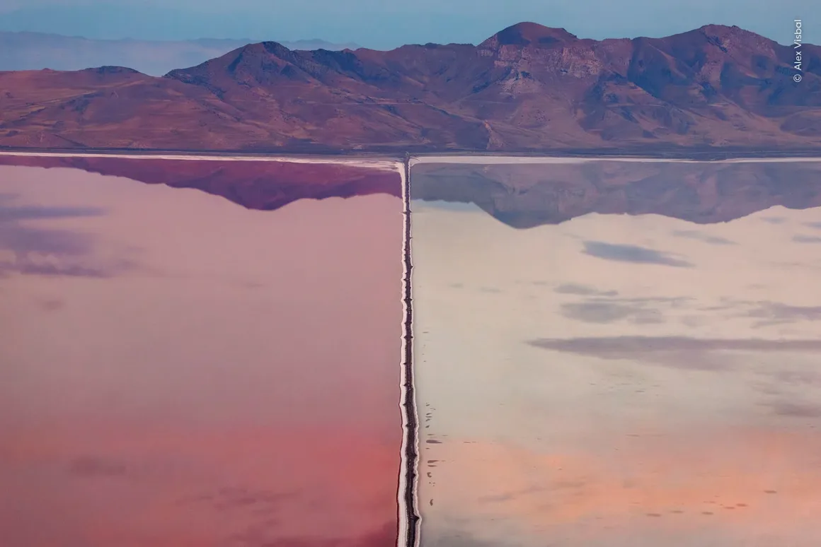 Wildlife Photographer of the Year 2026: Ölü Yavrusunu Taşıyan Fil Fotoğrafı Büyük Ödülü Kazandı 27 Bir geçit, su kütlesini biri parlak pembe, diğeri soluk renkli iki bölüme ayırıyor; dağlar ve gökyüzü su yüzeyine yansıyor.