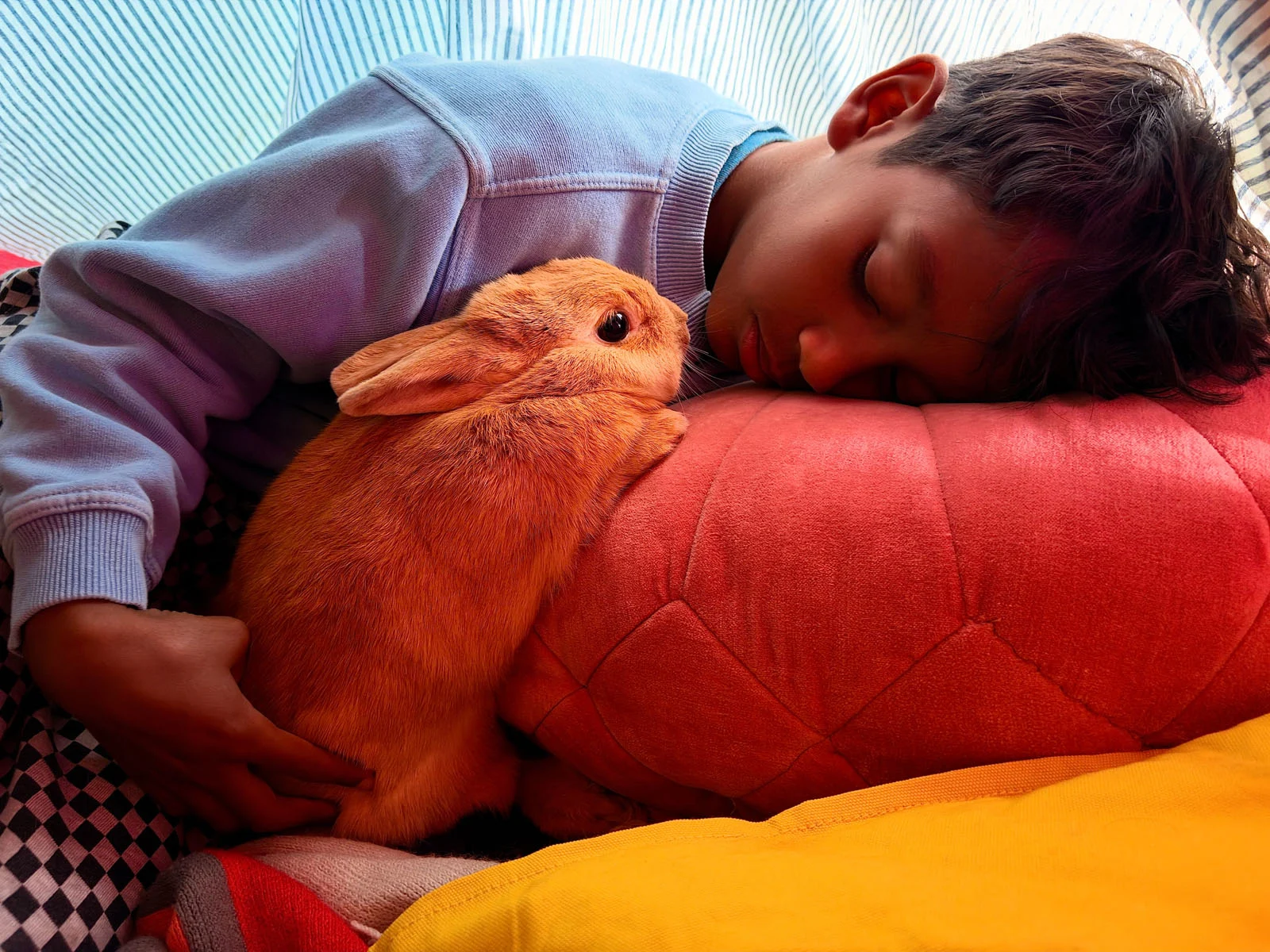 Apple iPhone Duo: İlk Katlanabilir iPhone 7,6 İnç Ekranla Geldi 28 A child in a light blue sweatshirt sleeps with their head resting on a large red pillow, while holding a small orange rabbit.