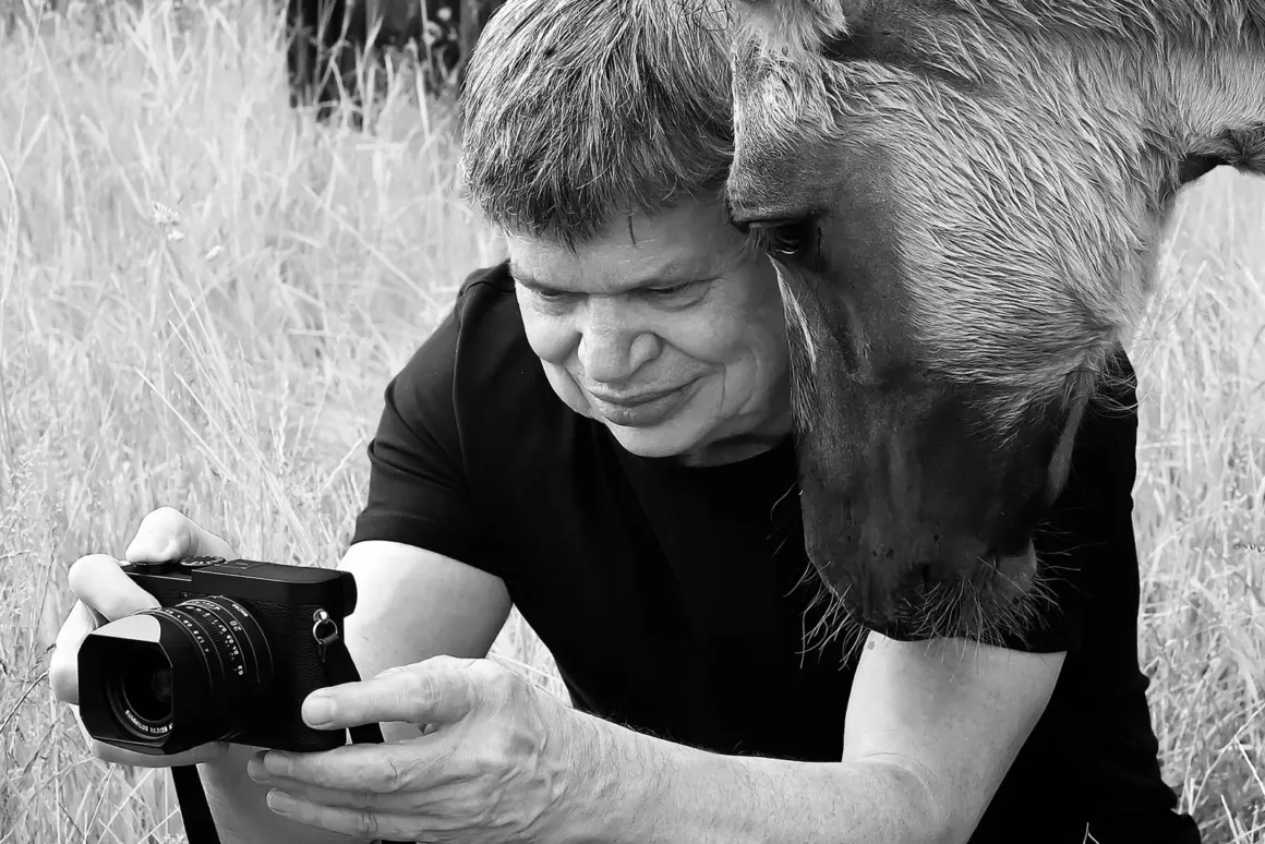 Siyah tişörtlü bir kişi fotoğraf makinesindeki görüntüyü incelerken, uzun otların bulunduğu alanda bir at hemen yanında duruyor.